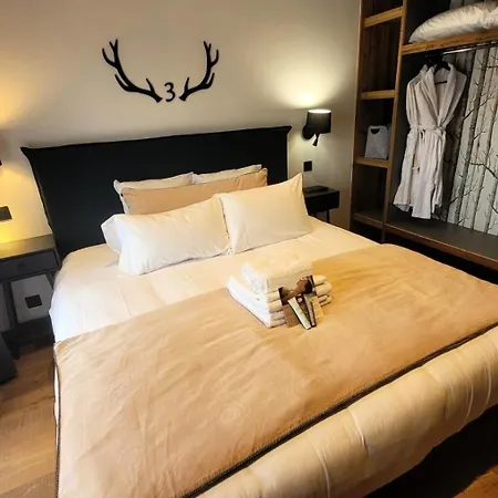 Appartement Premiere Loge - Magnifique Chalet, Prestations De Qualite, Bel Emplacement Mae-3371 Les Gets